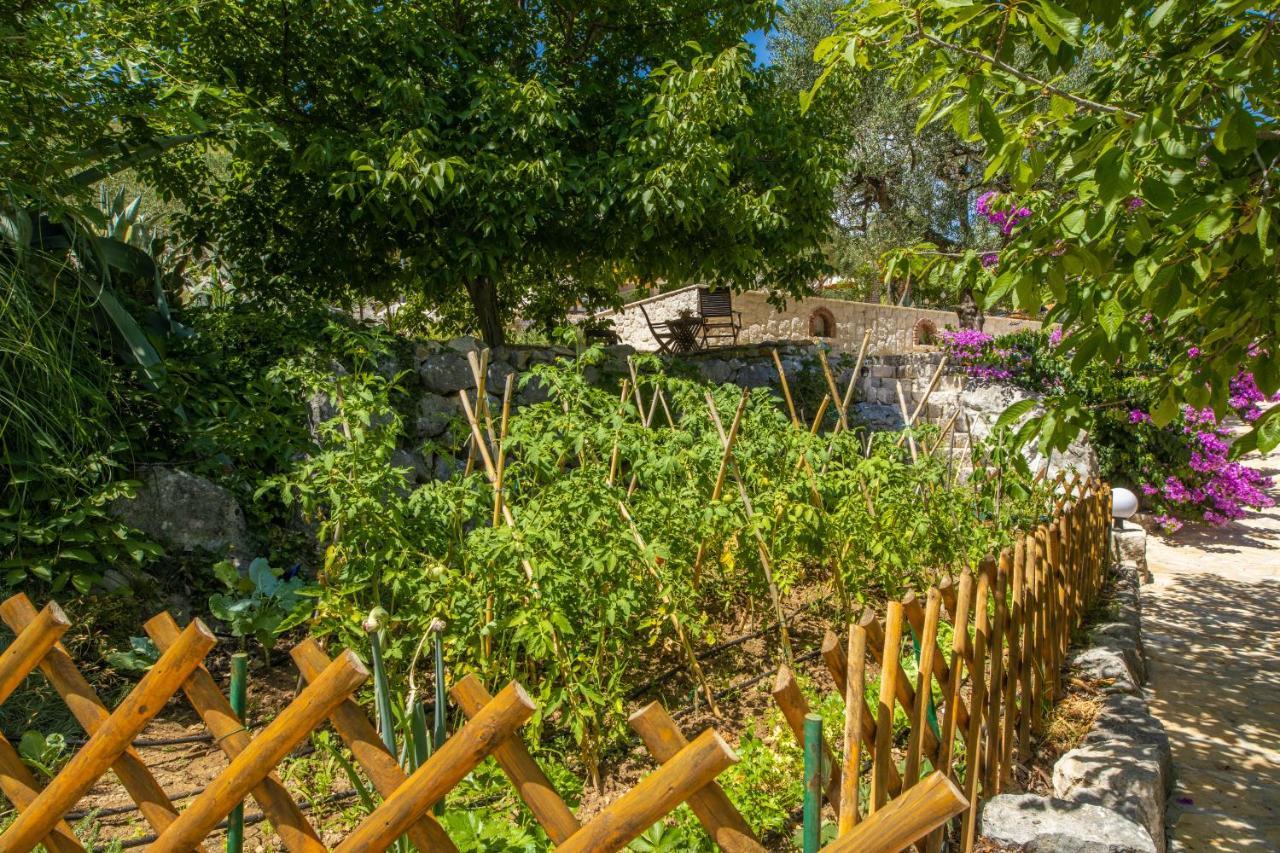 فيلا Etno House Wagner بلوتشي المظهر الخارجي الصورة